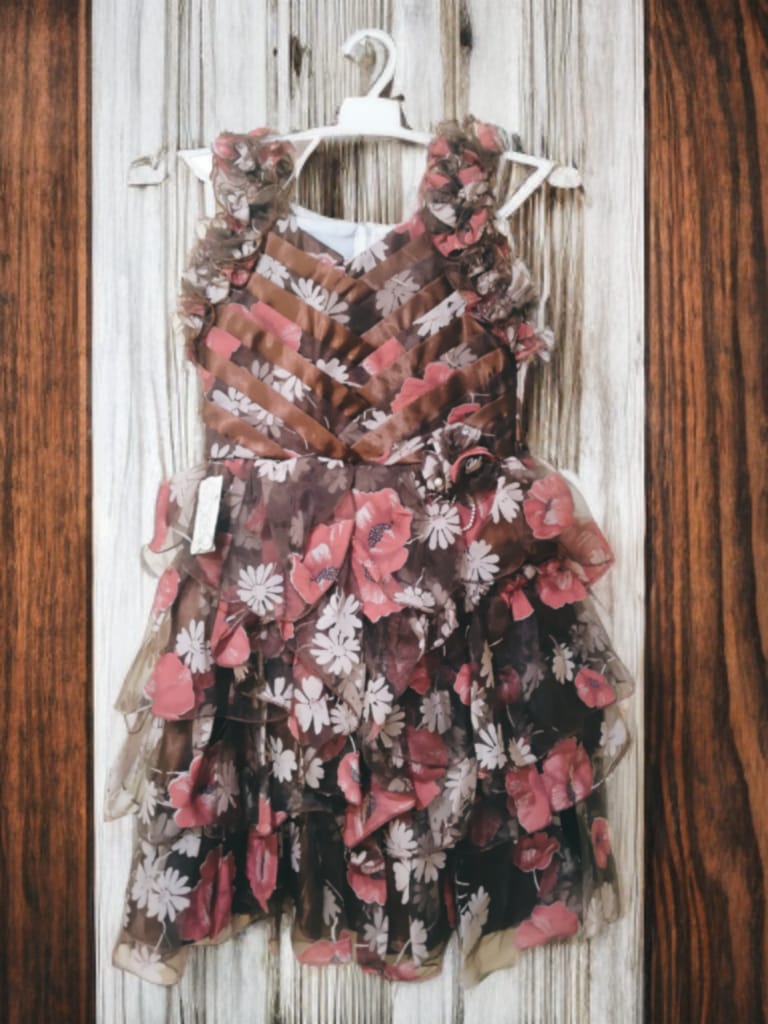 Printed Organza Frocks for Girls