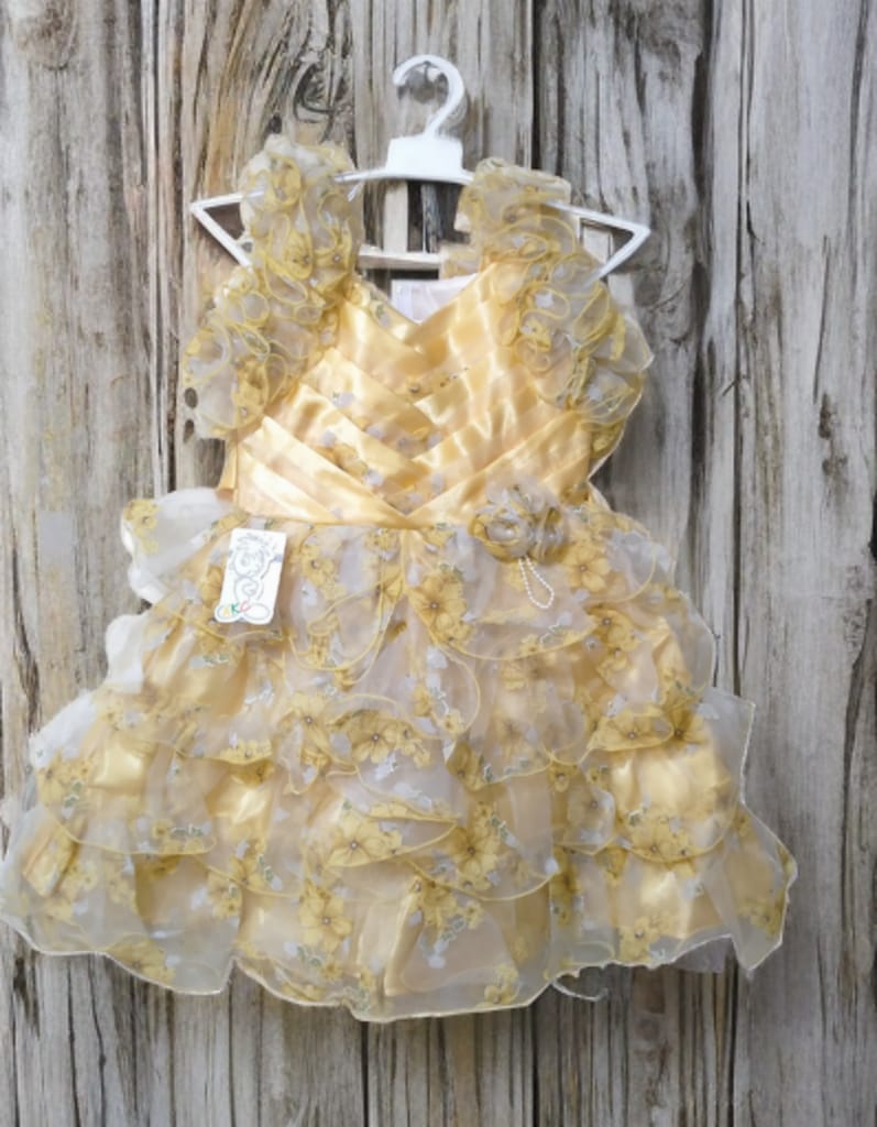 Printed Organza Frocks for Girls