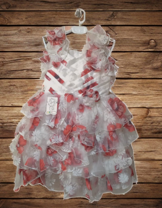 Printed Organza Frocks for Girls