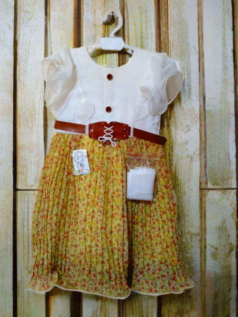 Crinkle Chiffon Frocks for Girls